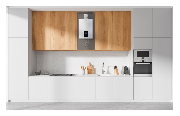 Calentador estanco con... 2