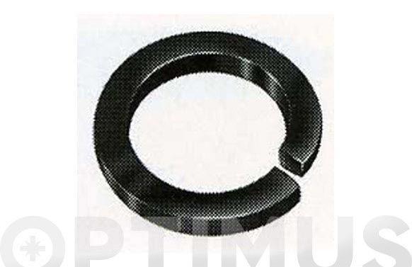 ARANDELA GROWER INOX DIN127  4