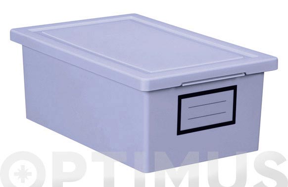 Caja ordenacion premier box 19x29x11-lila