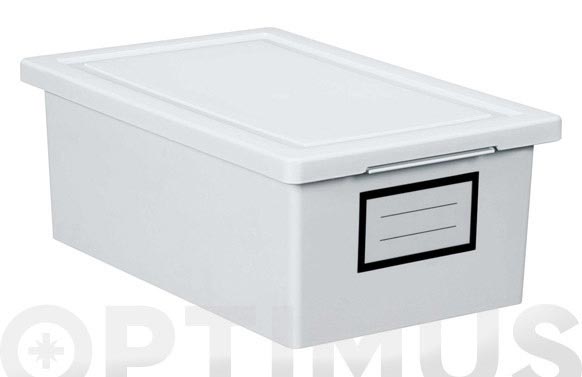 Caja ordenacion premier box 19 x 29 x 11 cm
