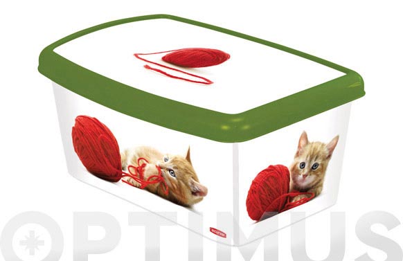 Caja decorada accesorios perros 04706-p77-04