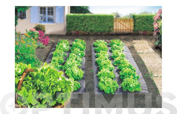 Plastico antihierbas...