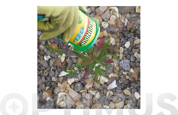 HERBICIDA ROUNDUP GEL 150 ML 231364 5