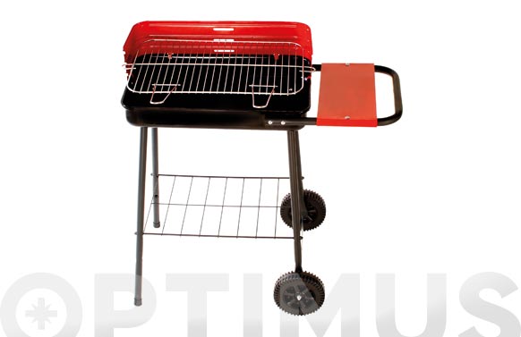 Barbacoa carbon con bandeja...